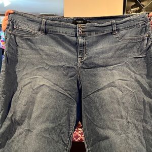 Torrid Jeans
